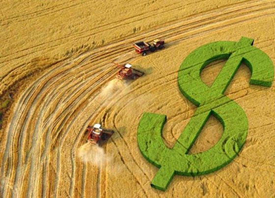 Cotação da soja, preços