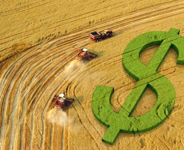 Cotação da soja, preços