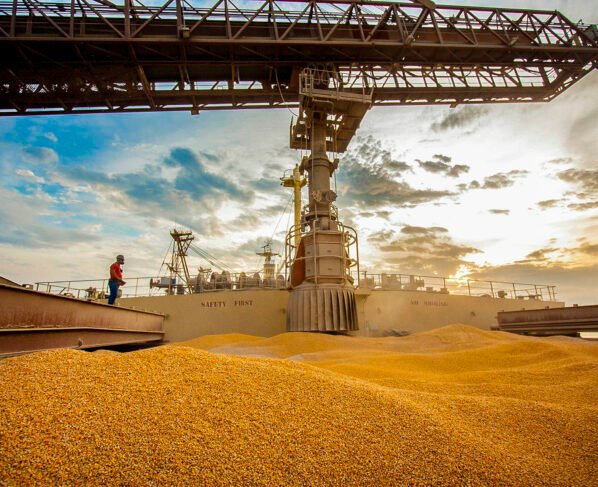 exportação de milho irã dólar