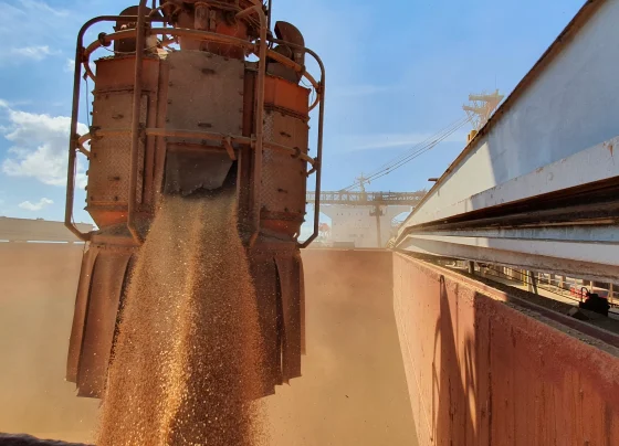 importações, soja, china