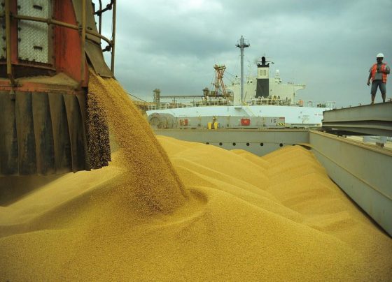 soja - exportação - usda - anec - abiove - mercados