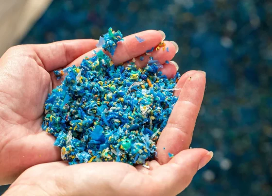 Foto: Divulgação/JBS.