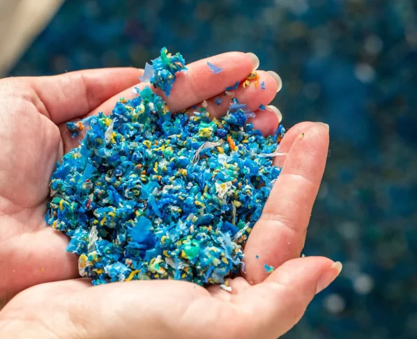 Foto: Divulgação/JBS.