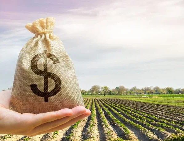 Plano Safra BNDES crédito de carbono