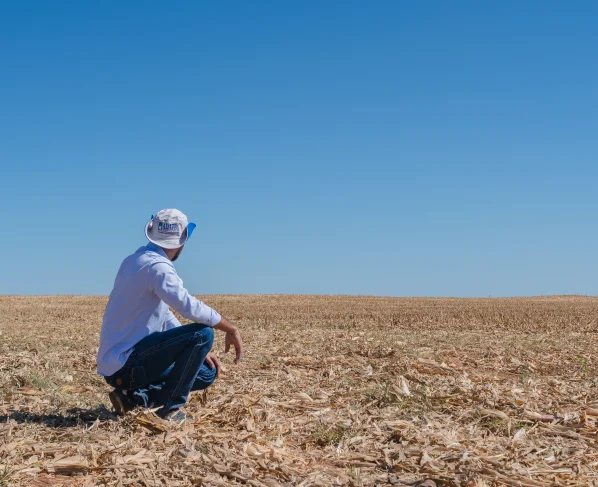 vazio sanitário da soja Tocantins