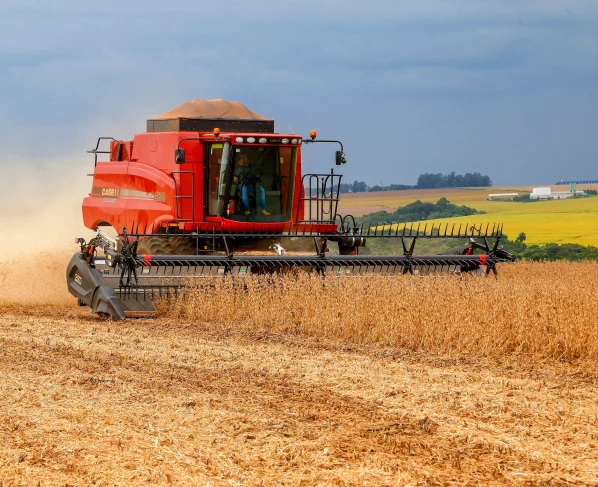 Cascavel, colheita de Soja, safra