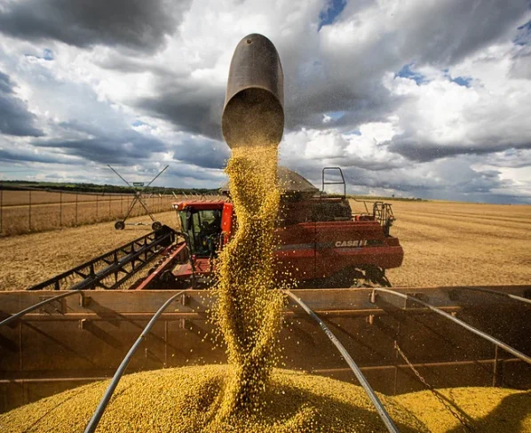 preço da soja cotações, safra