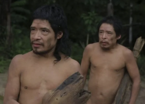 Tamandua e Baita Piripkura. - Foto Bruno Jorge