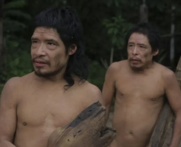 Tamandua e Baita Piripkura. - Foto Bruno Jorge