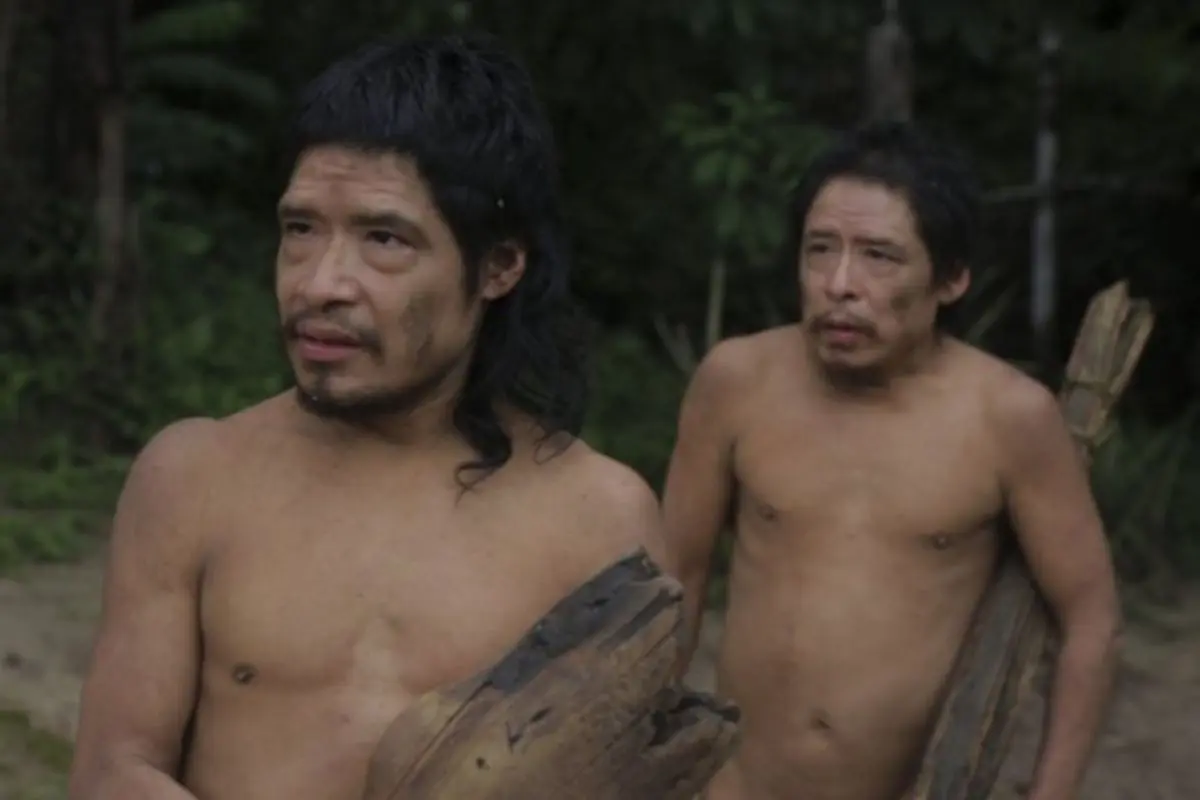 Tamandua e Baita Piripkura. - Foto Bruno Jorge