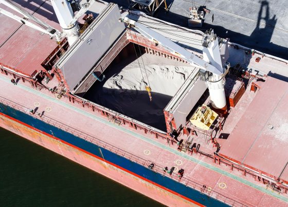 Fertilizantes no Porto de Paranaguá (PR). Foto: Rodrigo Felix Leal/Seil-PR