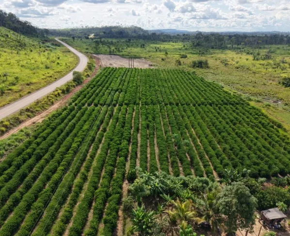 MT Produtivo inicia mobilização em 61 municípios de MT