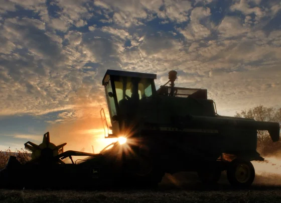 máquina, colheitadeira