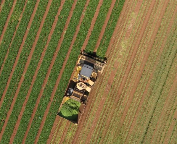 Foto: Reprodução/Giro do Boi.