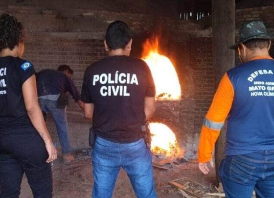 Polícia Civil incinerando drogas