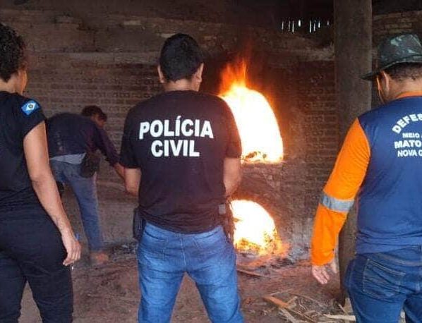 Polícia Civil incinerando drogas