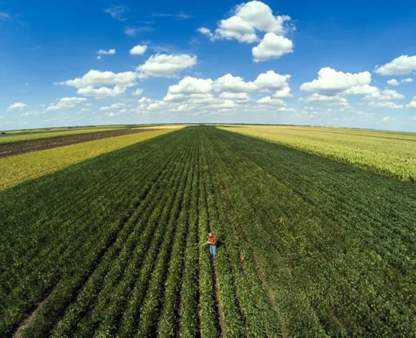 crédito rural, Plano Safra