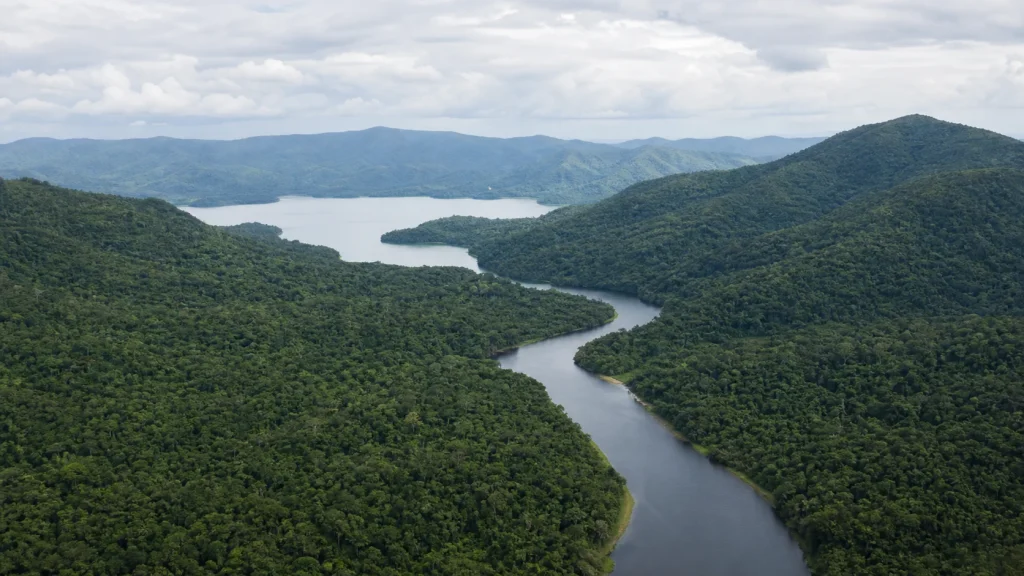 Comissão da Câmara debate papel da Mata Atlântica na adaptação climática na terça-feira