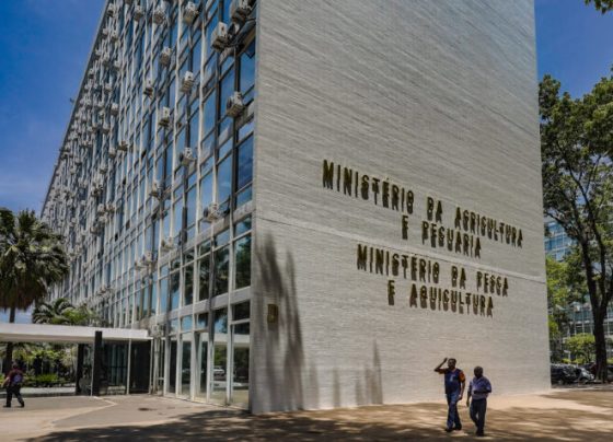 Ministério da Agricultura e Pecuaria do governo