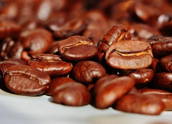 grãos de café torrado