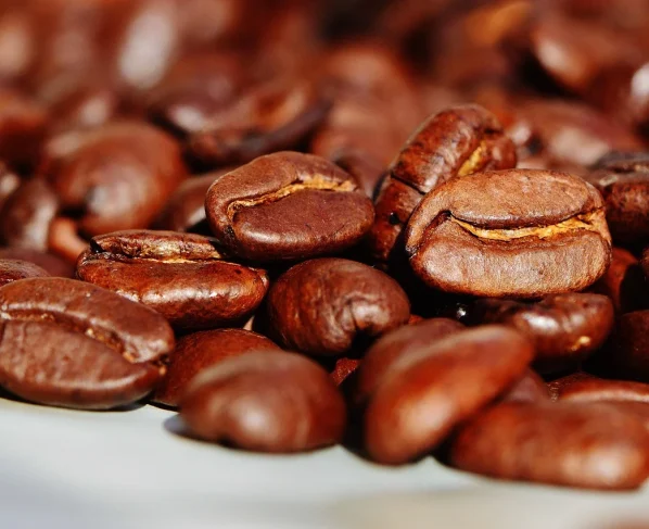 grãos de café torrado