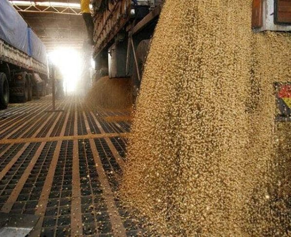 Mato Grosso prorroga congelamento do Fethab até o fim de 20261