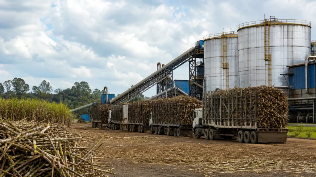 Moagem de cana cai 2,1% no Norte e Nordeste até março