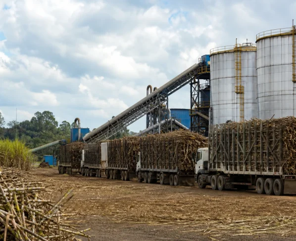 Moagem de cana cai 2,1% no Norte e Nordeste até março
